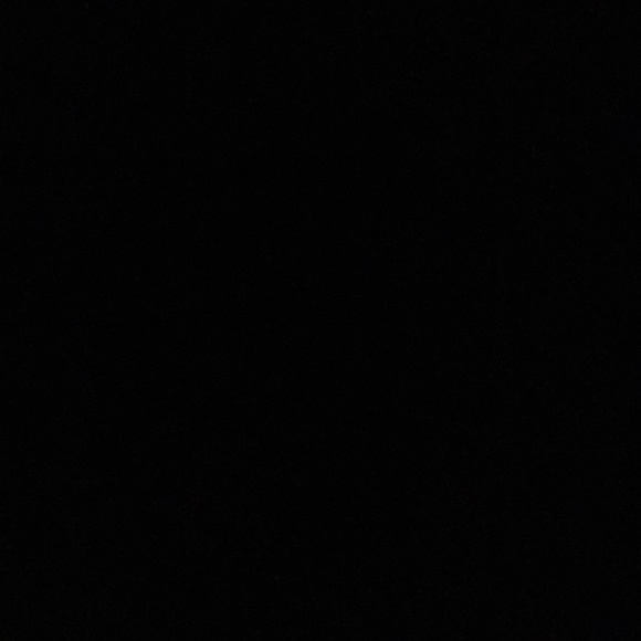 Meet your Posher, Gigi - Picture 1 of 1